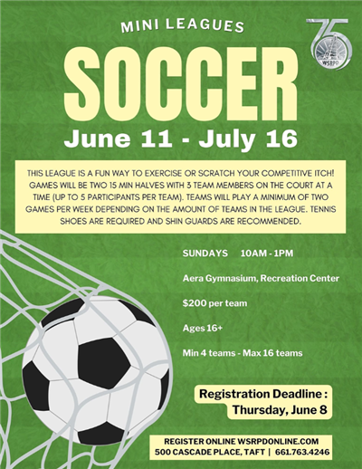 Flyer explaining the Mini League Soccer Program