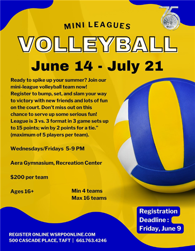Flyer explaining the Mini League Volleyball program