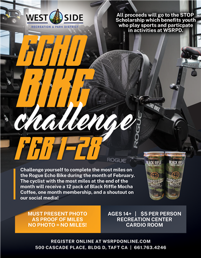 Echo Bike Challenge