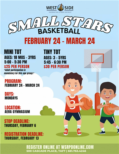 Small Stars Basketball Flyer